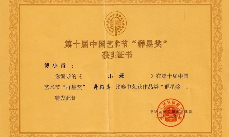 第十届中国艺术节群星奖