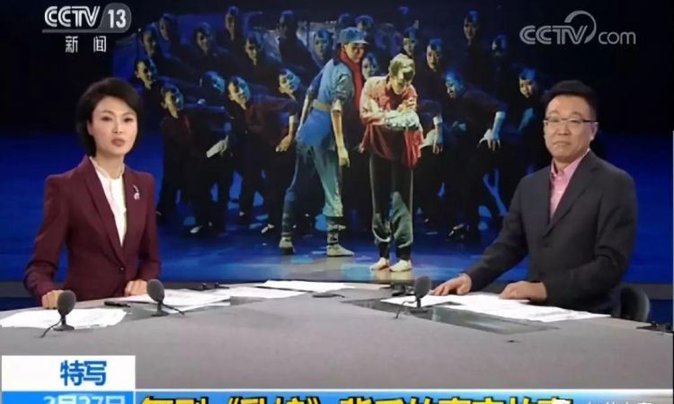 中央电视台报道